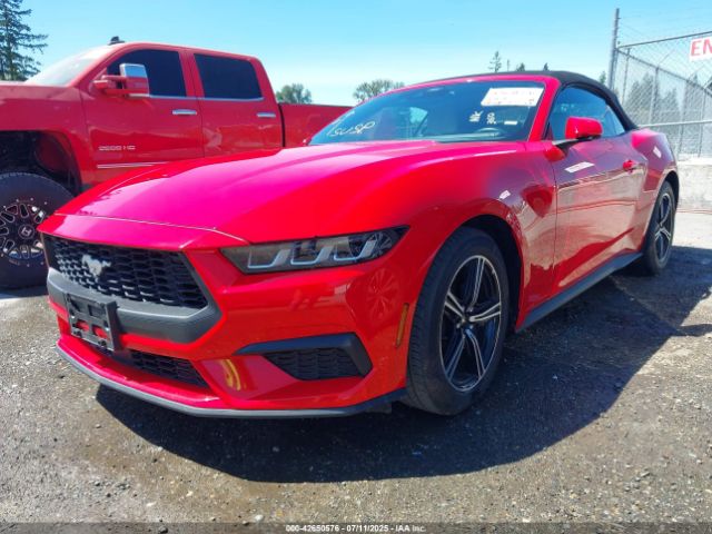 2024 FORD MUSTANG 1FAGP8UH9R5129238 Photo 1