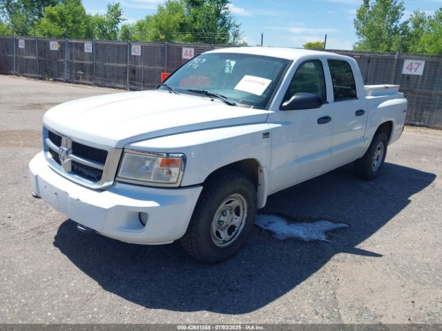 2010 DODGE DAKOTA 1D7CW2GP6AS193342 Photo 1