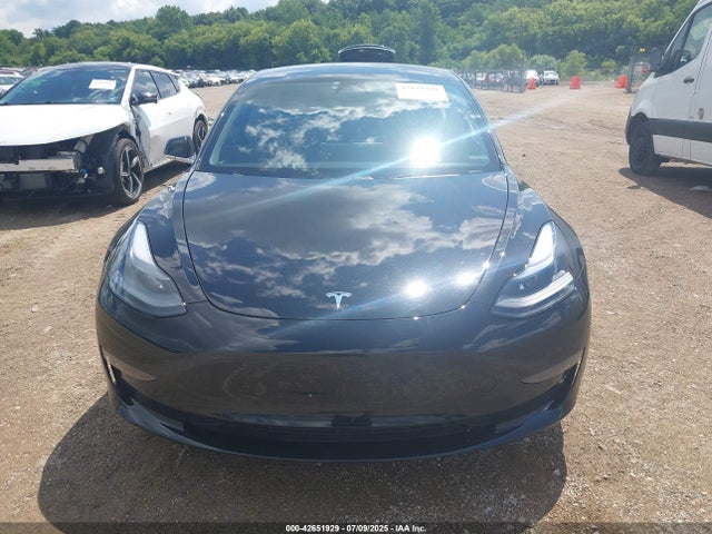 Tesla MODEL 3 2019 5YJ3E1EB8KF385505 Image 13