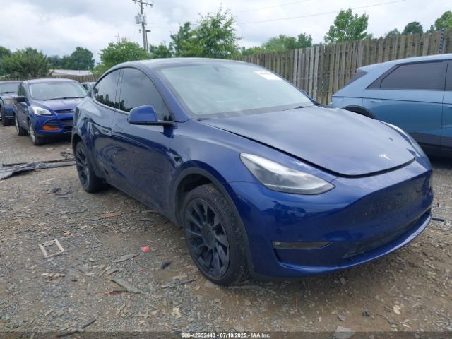 2023 TESLA MODEL Y 7SAYGDEE8PF890787 Photo 0