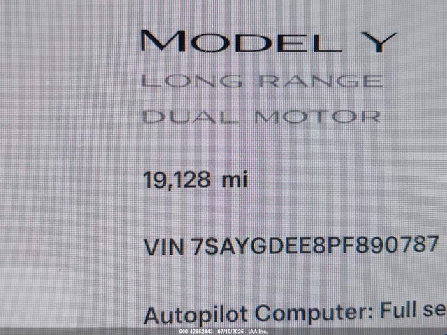 7SAYGDEE8PF890787 Tesla 2023