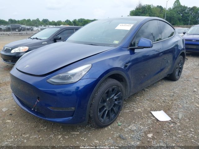 2023 TESLA MODEL Y 7SAYGDEE8PF890787 Photo 1