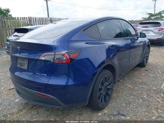 2023 TESLA MODEL Y 7SAYGDEE8PF890787 Photo 3