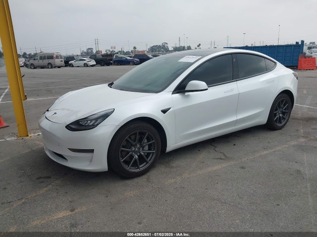 2020 TESLA MODEL 3 5YJ3E1EA1LF613384 Photo 1