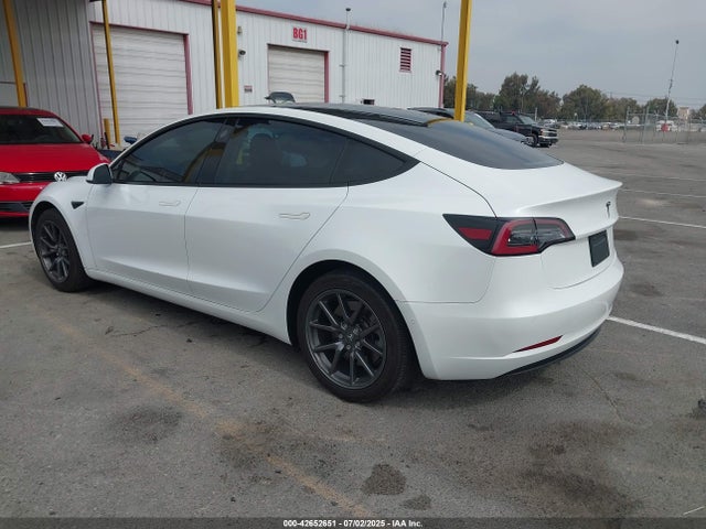 2020 TESLA MODEL 3 5YJ3E1EA1LF613384 Photo 2