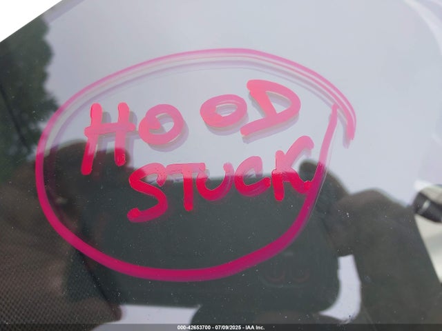 2016 TESLA MODEL X 5YJXCBE44GF008465 Photo 9