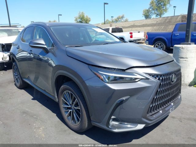 2024 LEXUS NX 250 JTJADCAZ5R5015985