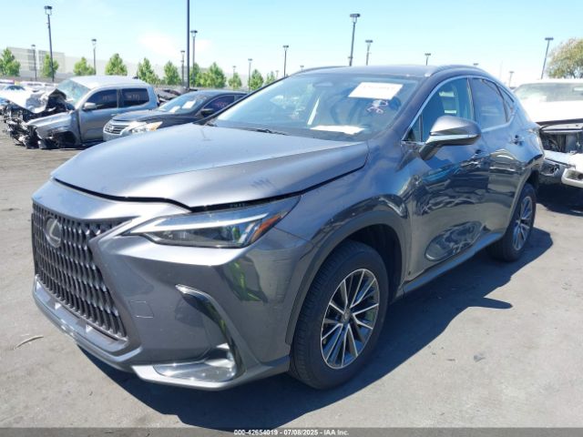 2024 LEXUS NX 250 JTJADCAZ5R5015985 Photo 1