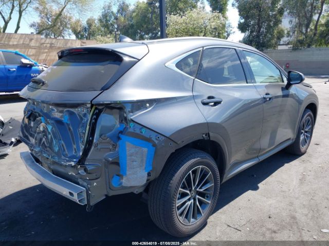 2024 LEXUS NX 250 JTJADCAZ5R5015985 Photo 3