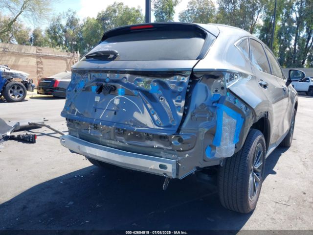 2024 LEXUS NX 250 JTJADCAZ5R5015985 Photo 5