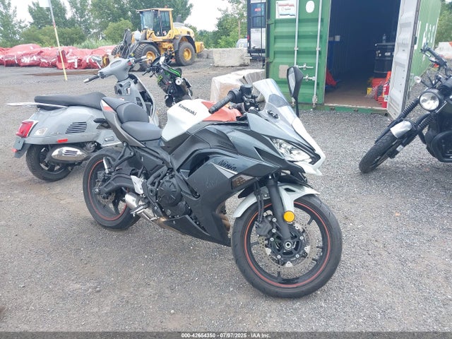 Kawasaki Ninja 650 2023 ML5EXER11PDA90835 main image