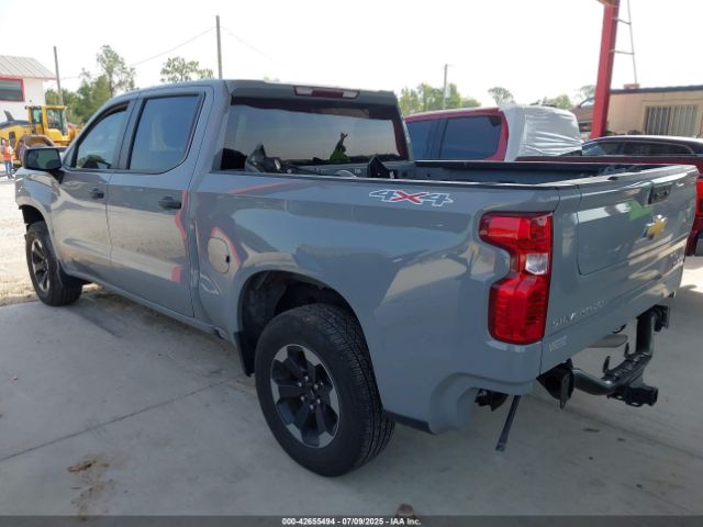 2024 CHEVROLET SILVERADO 1500 3GCPDBEK7RG206000 Photo 2