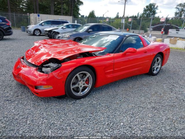 2002 CHEVROLET CORVETTE 1G1YY22G325131262 Photo 1