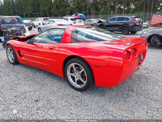 2002 CHEVROLET CORVETTE 1G1YY22G325131262 Photo 2