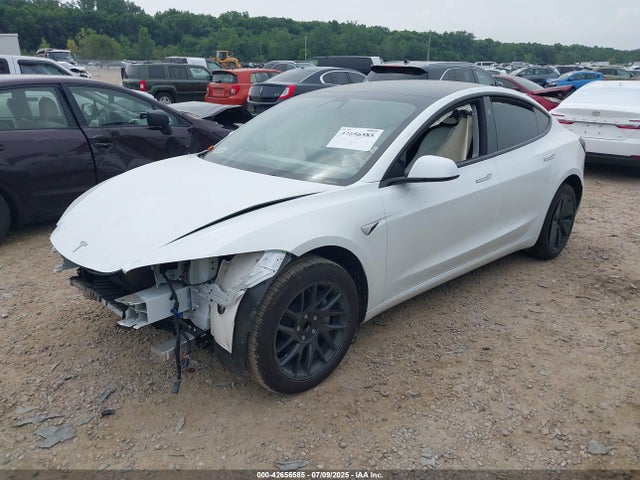 2025 TESLA MODEL 3 5YJ3E1EA0SF994949 Photo 1
