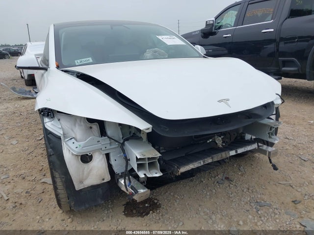 2025 TESLA MODEL 3 5YJ3E1EA0SF994949 Photo 5