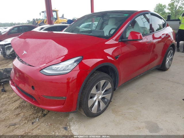 2021 TESLA MODEL Y 5YJYGDEE2MF304416 Photo 1