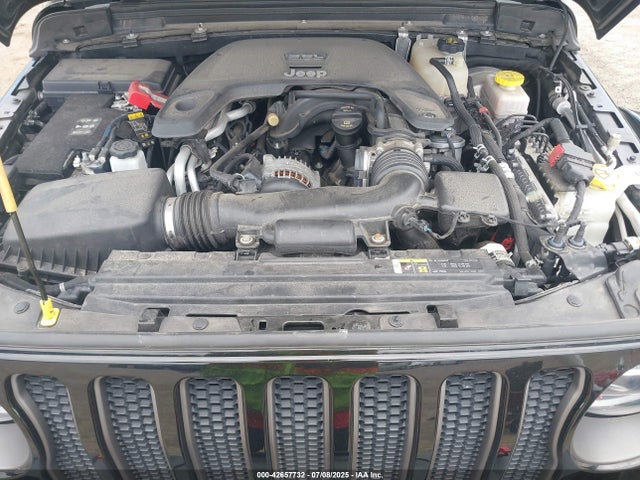 1C4HJXFG6LW243231 Jeep Wrangler