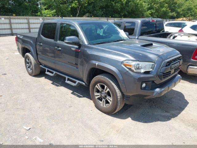 2019 TOYOTA TACOMA 3TMCZ5AN7KM195380