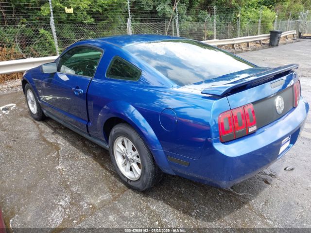 2006 FORD MUSTANG 1ZVFT80N365125546 Photo 2