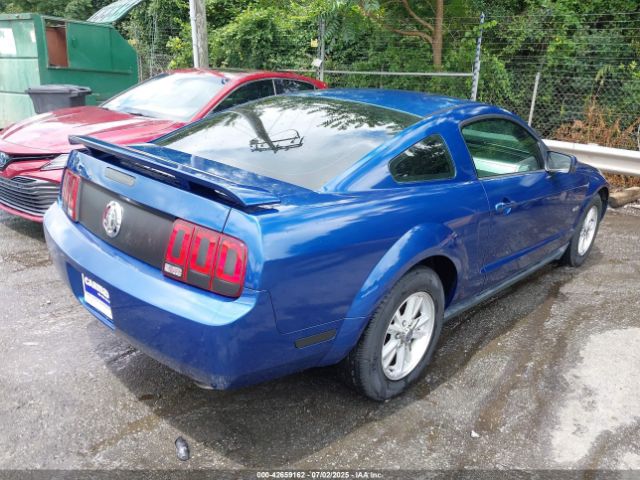 2006 FORD MUSTANG 1ZVFT80N365125546 Photo 3