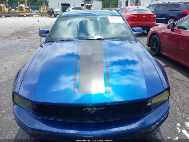 2006 FORD MUSTANG 1ZVFT80N365125546 Photo 5