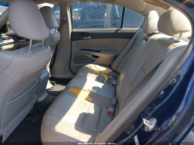 2009 HONDA ACCORD SDN 1HGCP36859A001029 Photo 7
