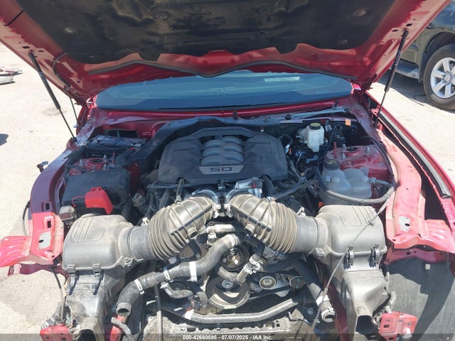 Ford tivct 2024 1FA6P8CF9R5407860 Image 10