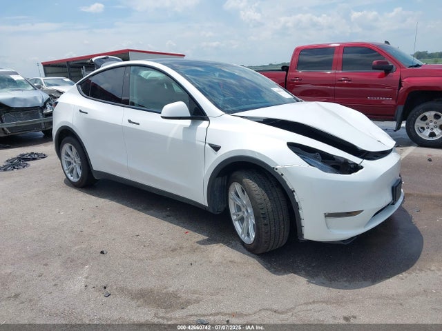 2021 TESLA MODEL Y 5YJYGAEE5MF297380 Photo 0