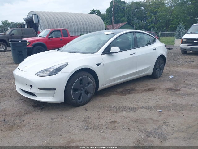 2023 TESLA MODEL 3 5YJ3E1EA5PF465410 Photo 1