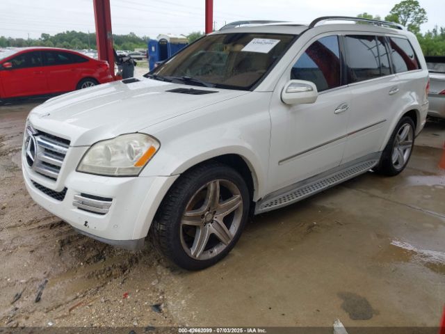 2010 MERCEDES-BENZ GL 550 4JGBF8GE0AA590229 Photo 1