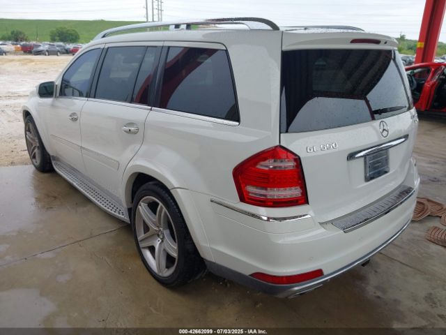 2010 MERCEDES-BENZ GL 550 4JGBF8GE0AA590229 Photo 2
