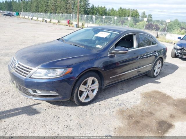 2013 VOLKSWAGEN CC WVWBN7AN9DE504102 Photo 1