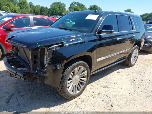 2015 CADILLAC ESCALADE 1GYS4PKJ6FR695160 Photo 1