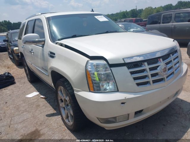 2011 CADILLAC ESCALADE 1GYS4CEF2BR128390