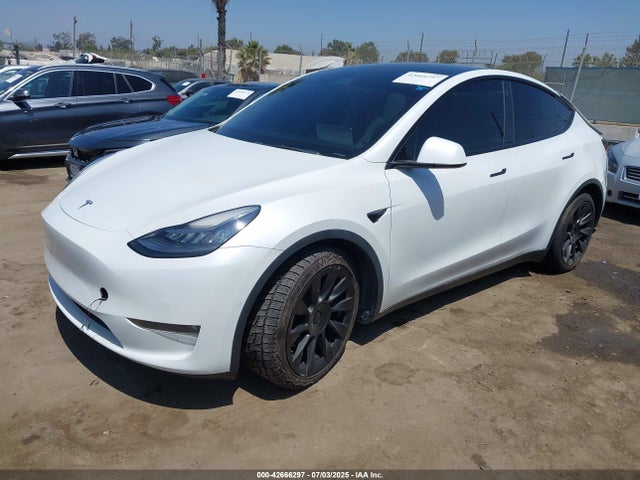 5YJYGDEE9MF118520 Tesla 2021