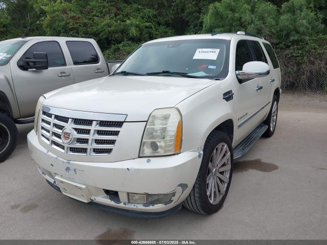 2009 CADILLAC ESCALADE 1GYFC23299R250494 Photo 1