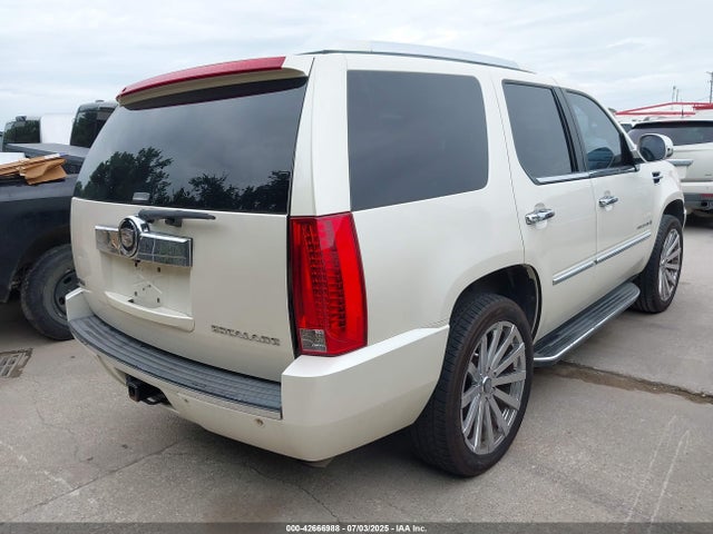 2009 CADILLAC ESCALADE 1GYFC23299R250494 Photo 3