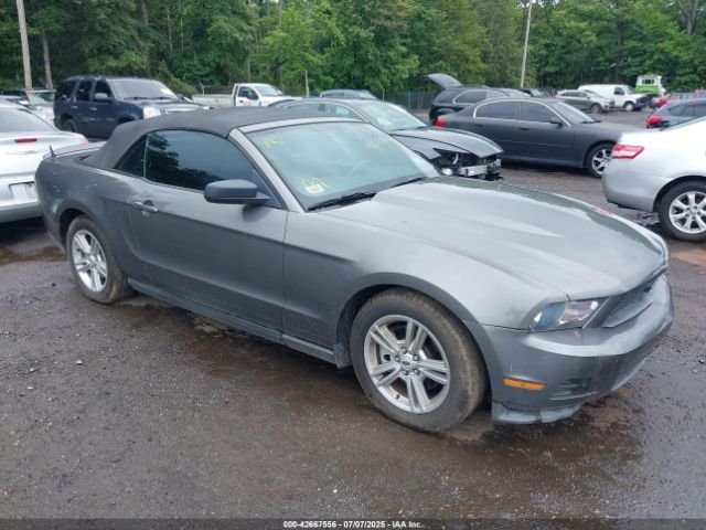 2011 FORD MUSTANG 1ZVBP8EM2B5142545