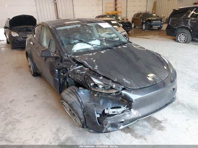 Tesla 2024 2024 7SAYGDEE8RA235089 Image 6