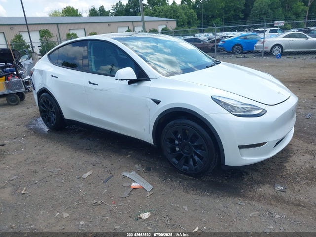 2023 TESLA MODEL Y 7SAYGDEE8PA059111 Photo 0