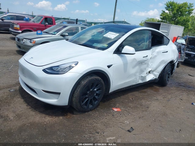 2023 TESLA MODEL Y 7SAYGDEE8PA059111 Photo 1