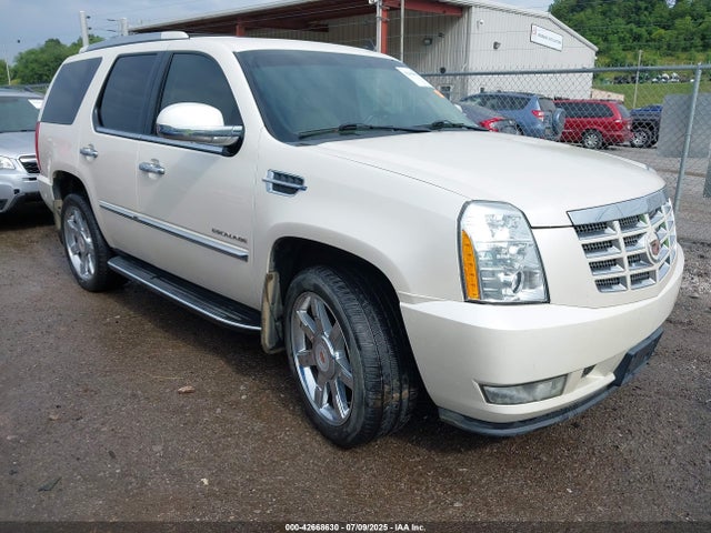 2013 CADILLAC ESCALADE 1GYS4BEF1DR118415 Photo 0