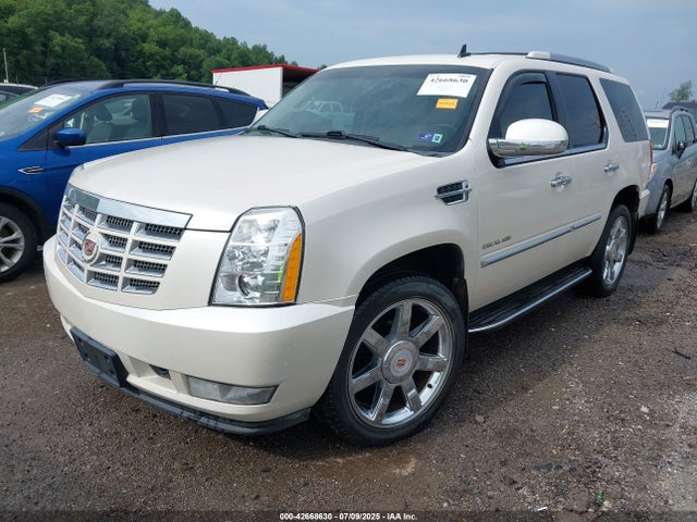 2013 CADILLAC ESCALADE 1GYS4BEF1DR118415 Photo 1