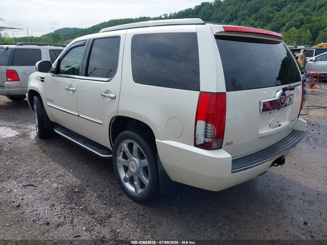 2013 CADILLAC ESCALADE 1GYS4BEF1DR118415 Photo 2