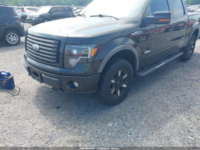 2011 FORD F-150 1FTFW1ET7BFB36188 Photo 5
