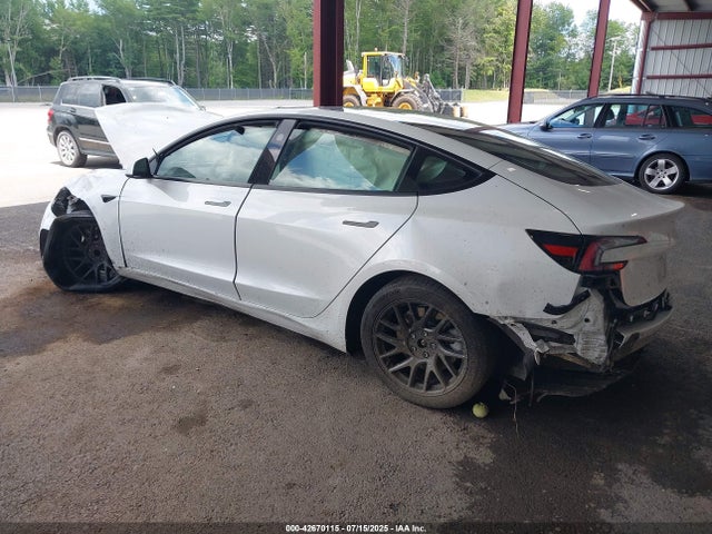 2024 TESLA MODEL 3 5YJ3E1EA2RF825350 Photo 2