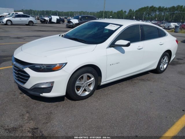 2021 CHEVROLET MALIBU 1G1ZB5ST6MF046904 Photo 1