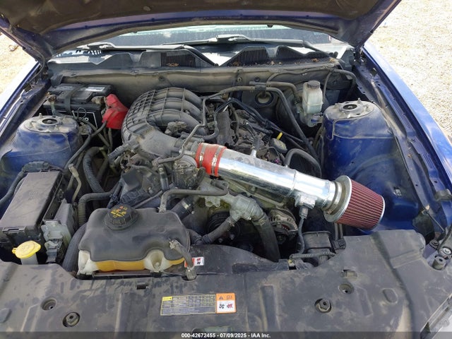 1ZVBP8AM7E5211837 Ford Mustang