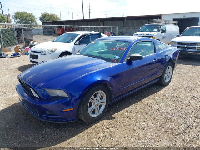 1ZVBP8AM7E5211837 Ford Mustang